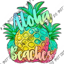 Aloha Beaches Pineapple Rainbow DTF Transfer