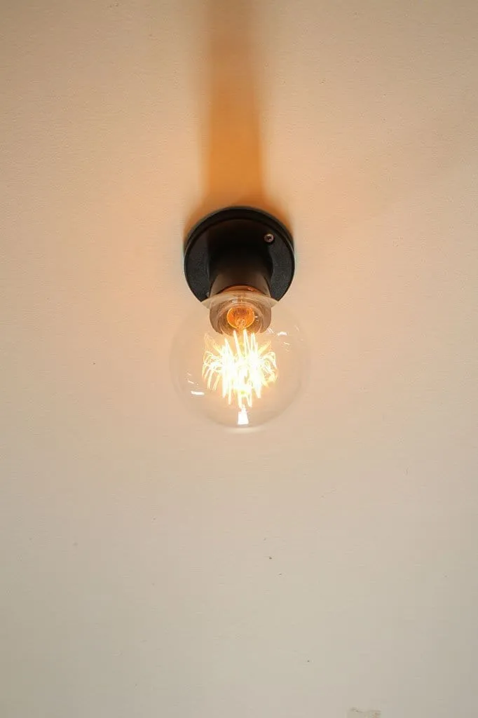 Bare Bulb Flush Mount