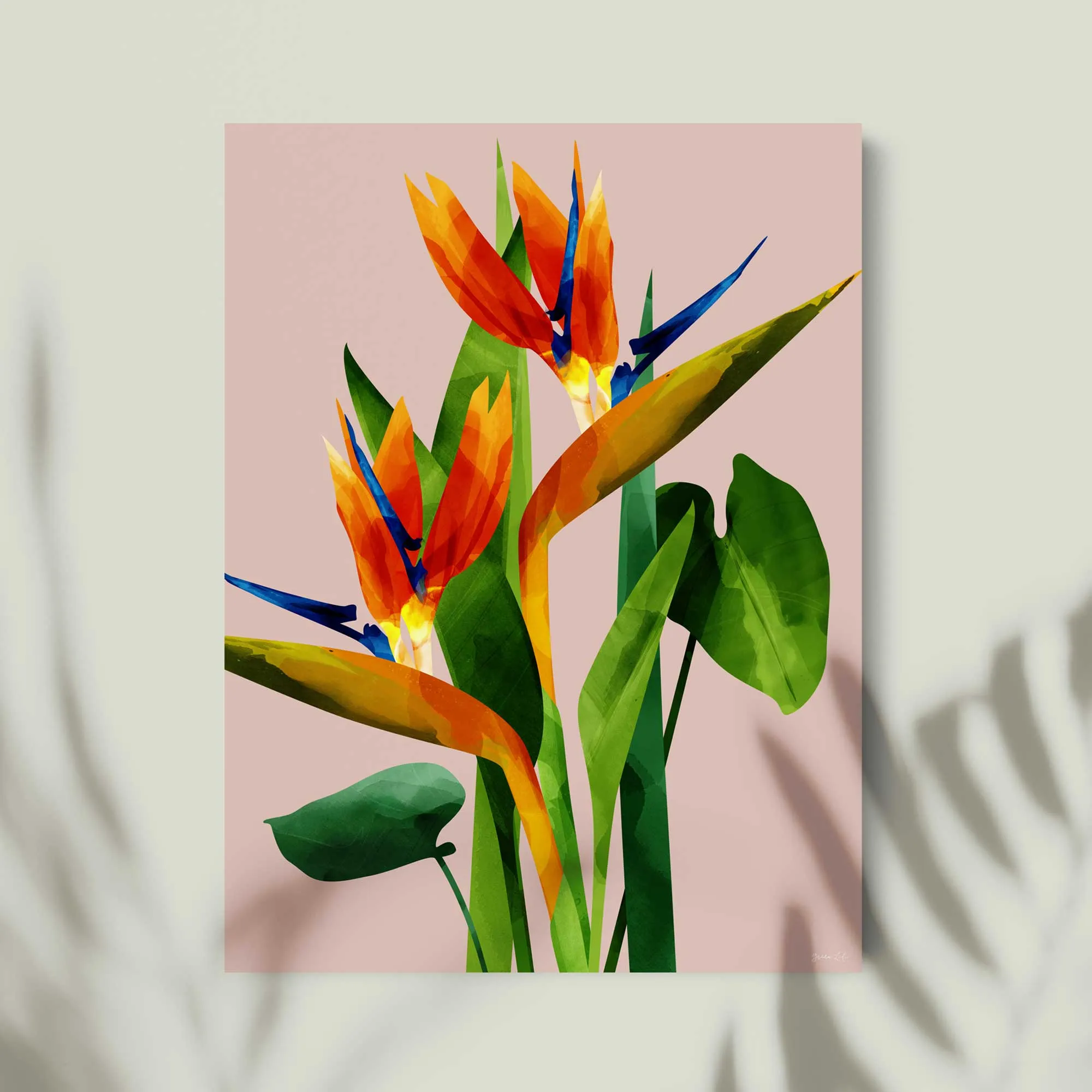 Birds of Paradise Flower Print