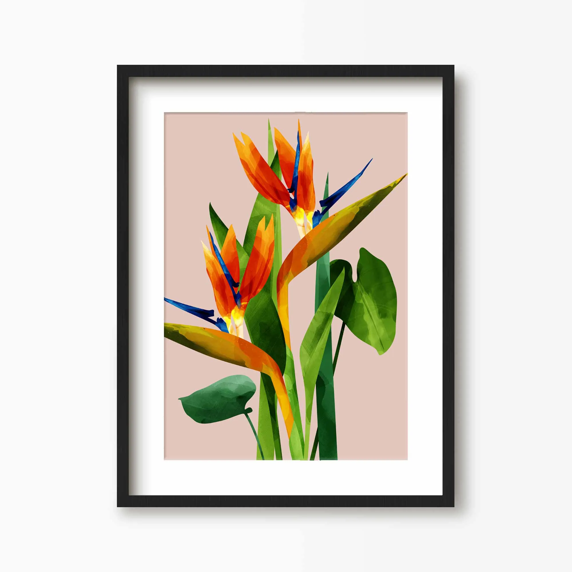 Birds of Paradise Flower Print