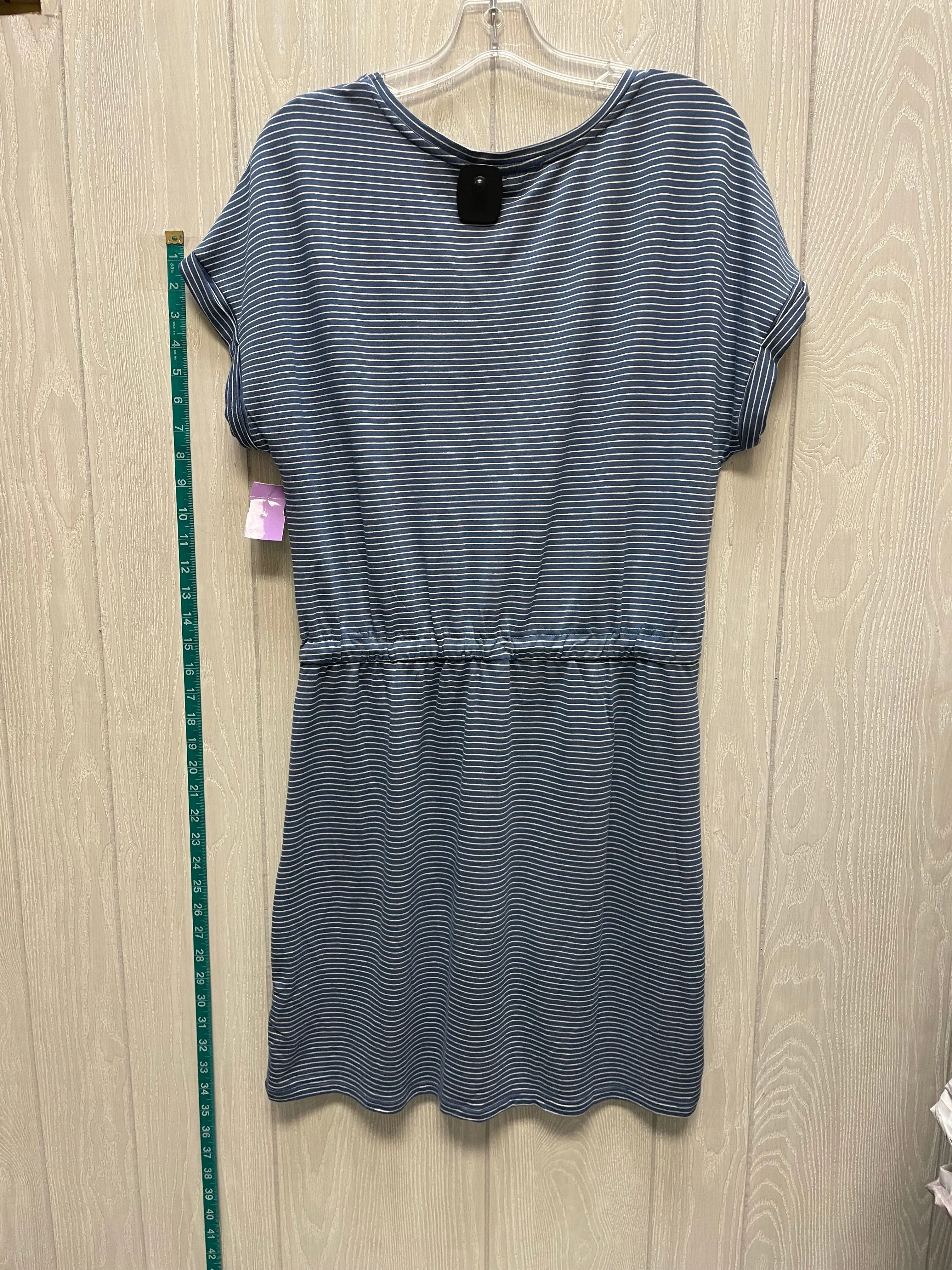 Dress Casual Short By Hilary Radley In Striped Pattern, Size: M