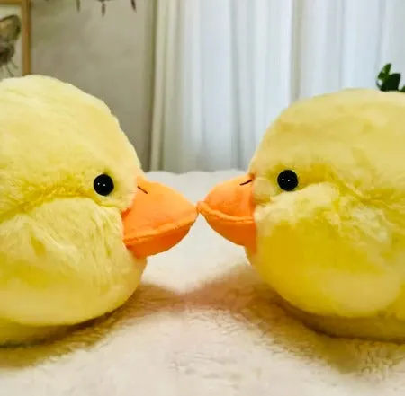 Duck  Slippers