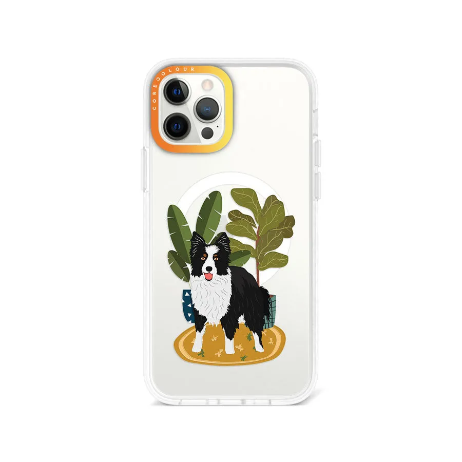 iPhone 12 Pro Border Collie Phone Case MagSafe Compatible