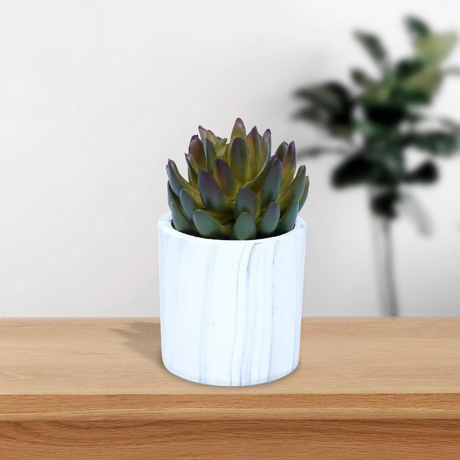 Mini Artificial Plant/Flower in Ceramic Pot/Planter