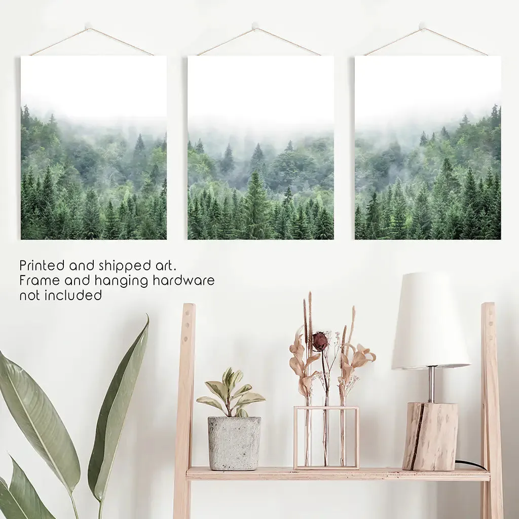 Nordic Nature Wall Art Set. Green Foggy Forest