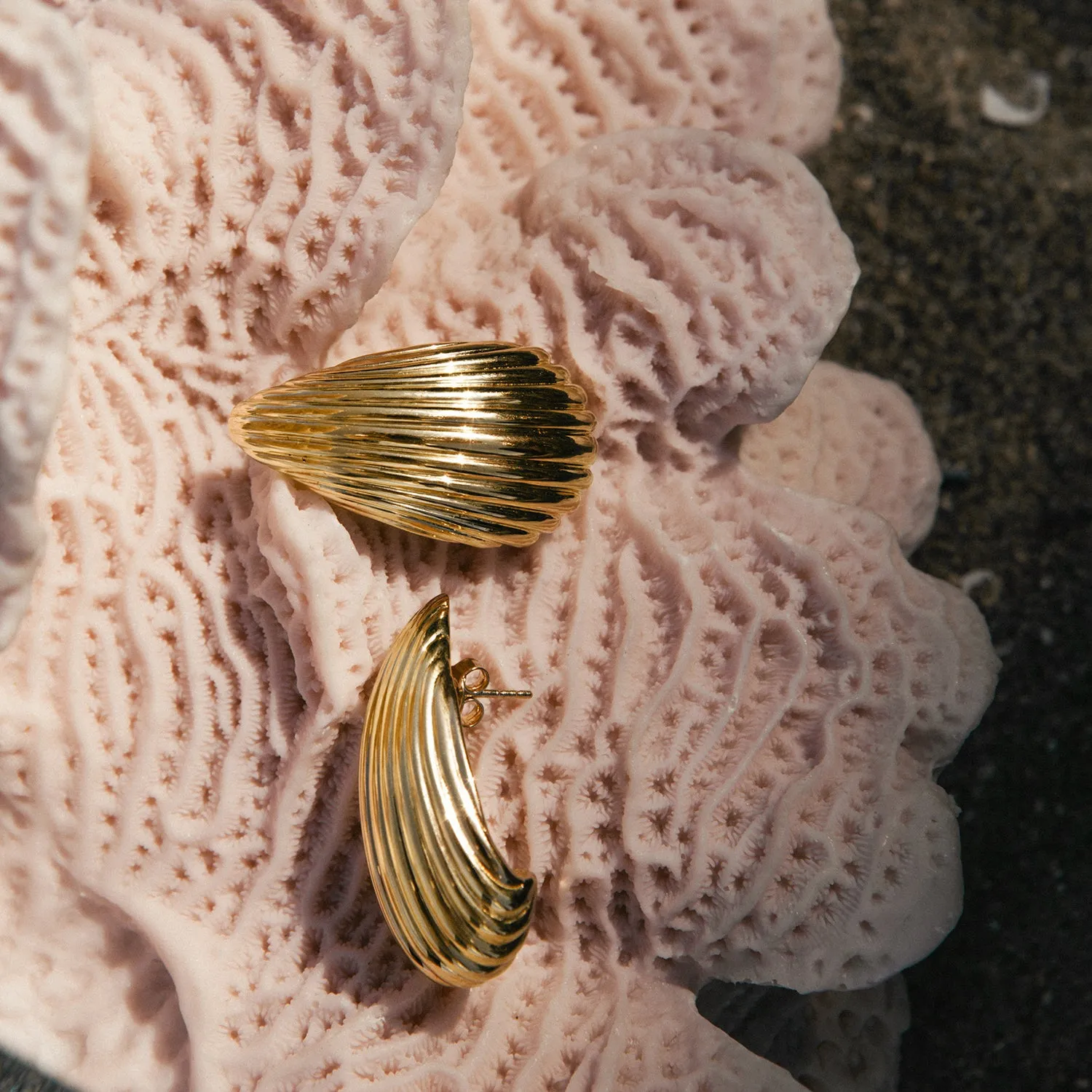 Shell Earrings | Gold