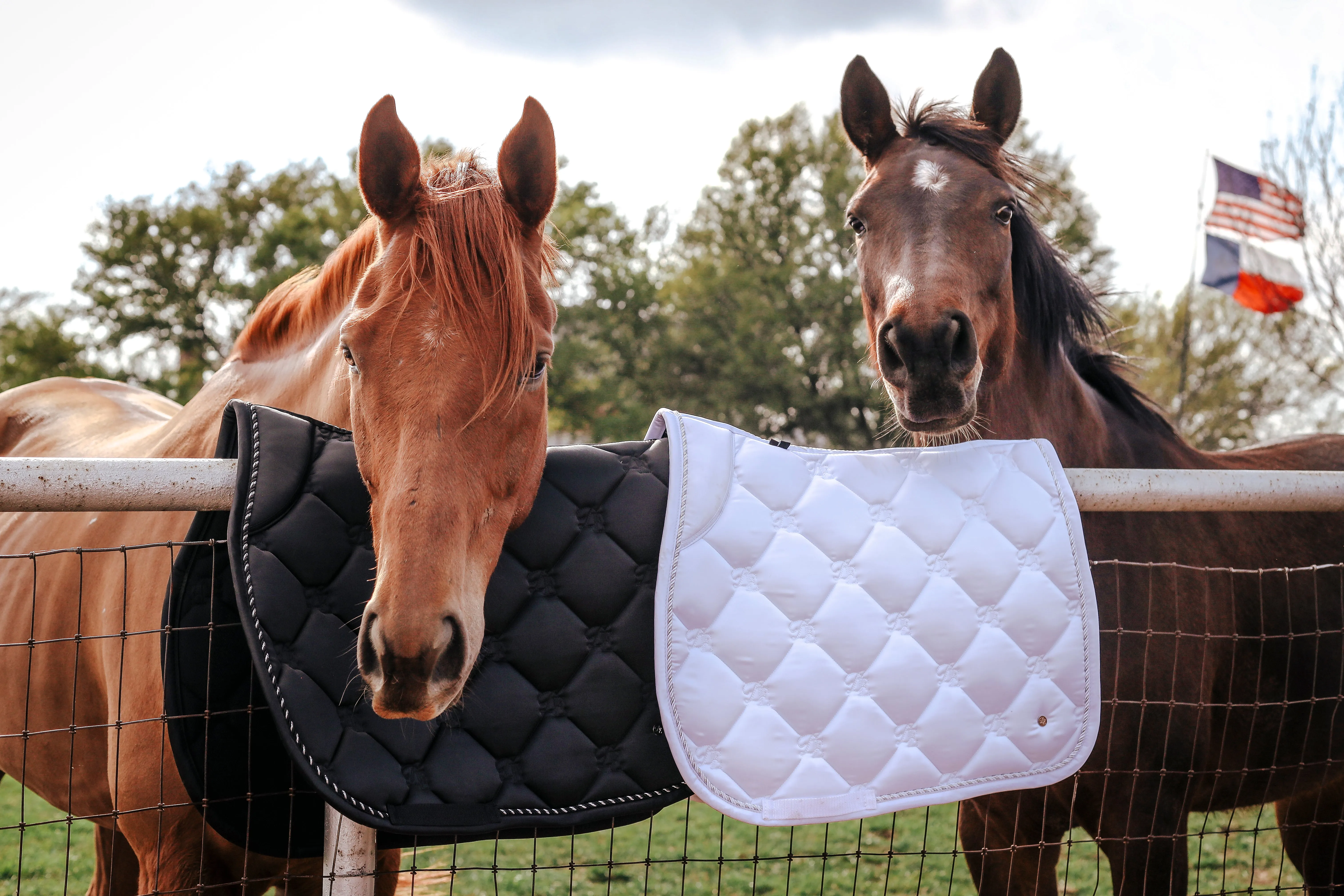 Sovereign Saddle Pad - Black