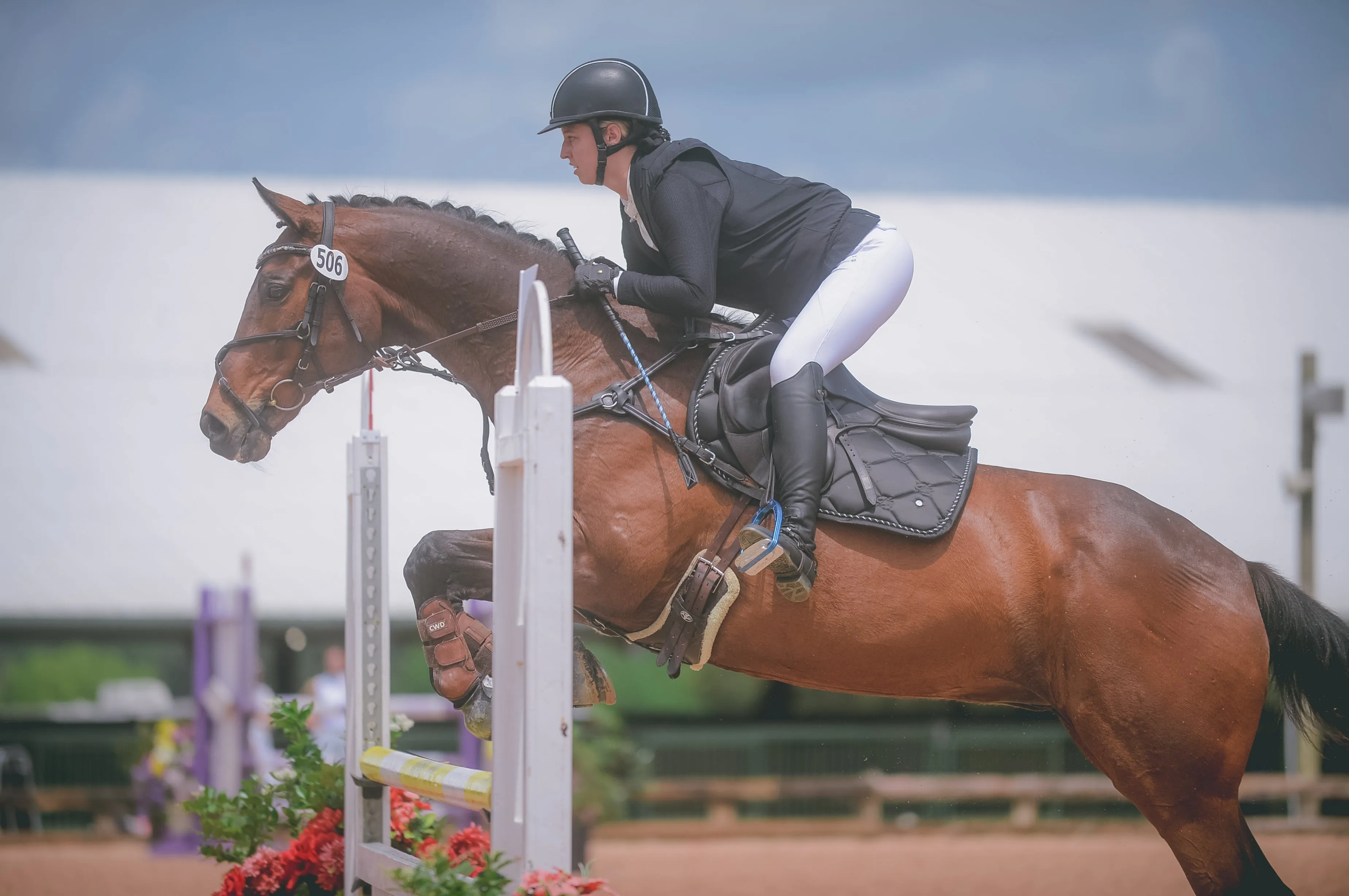 Sovereign Saddle Pad - Black