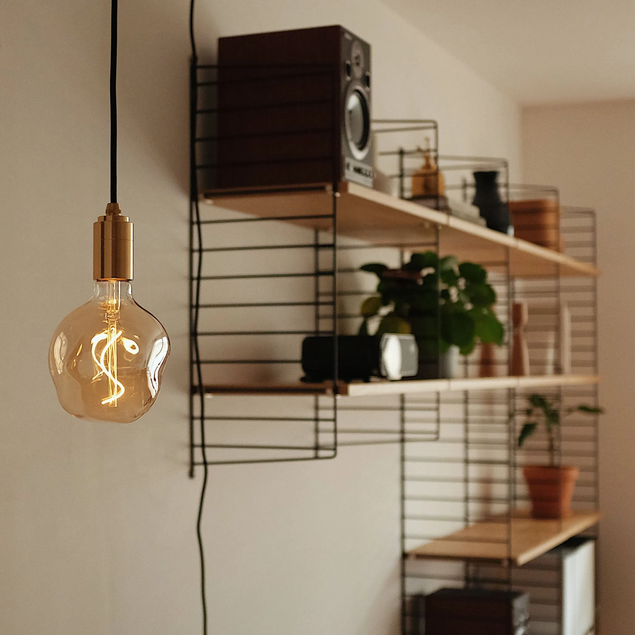 Voronoi I Pendant Light in Graphite